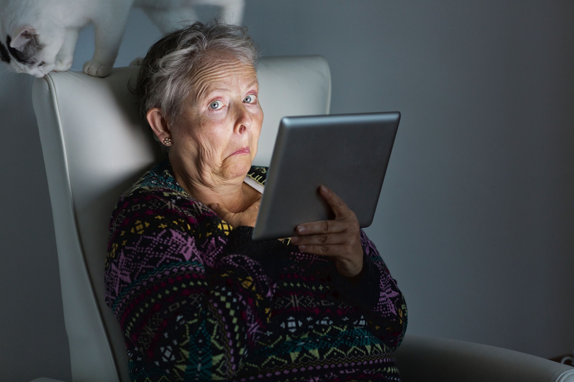 senior adult surprise cat  digital tablet